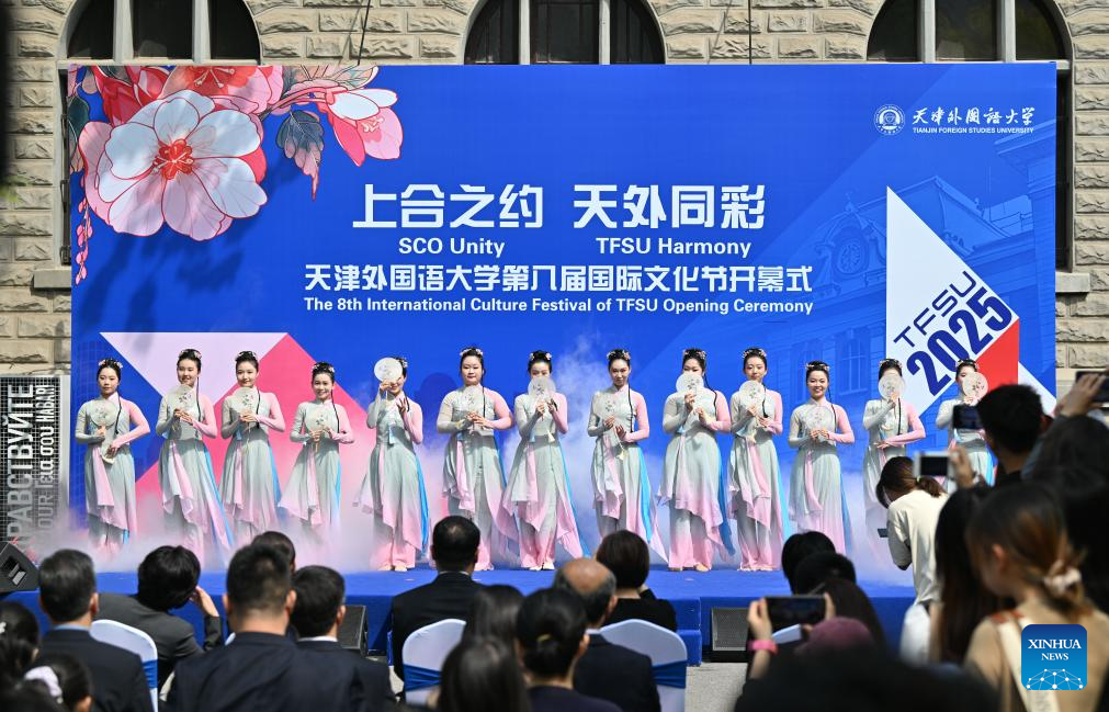 In pics: 8th Int'l Culture Festival of Tianjin Foreign Studies University
