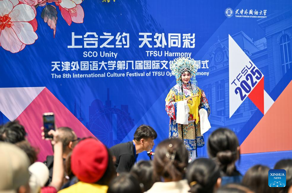 In pics: 8th Int'l Culture Festival of Tianjin Foreign Studies University
