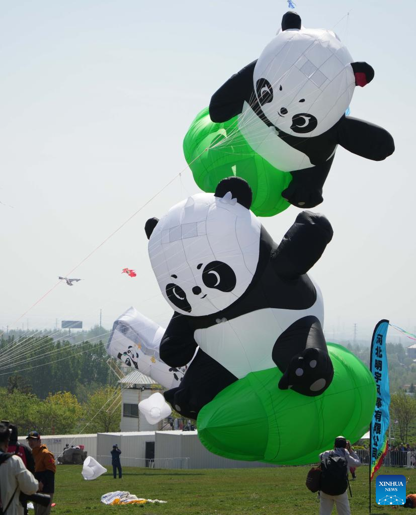 42nd Weifang Int'l Kite Festival held in China's Shandong