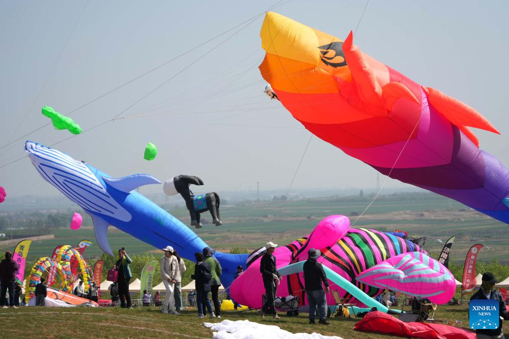 42nd Weifang Int'l Kite Festival held in China's Shandong