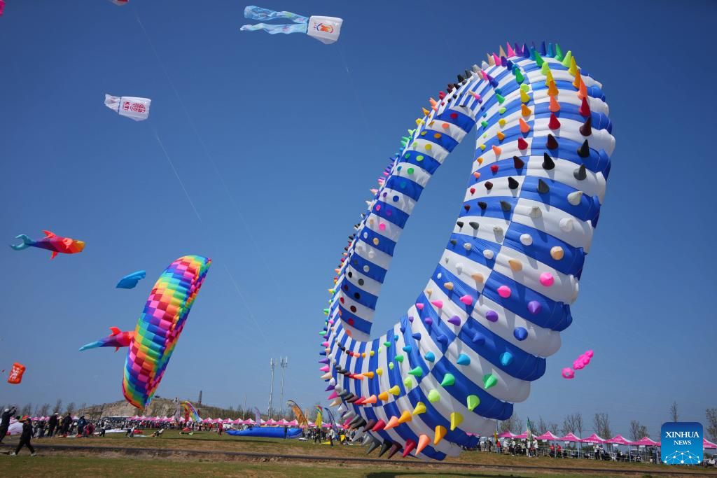 42nd Weifang Int'l Kite Festival held in China's Shandong
