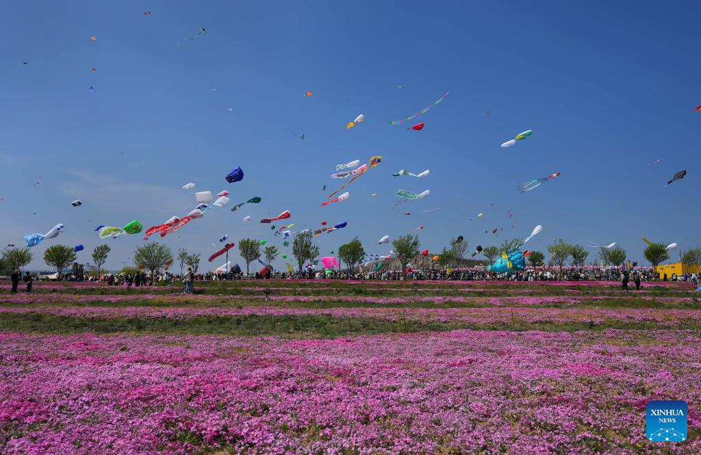 42nd Weifang Int'l Kite Festival held in China's Shandong