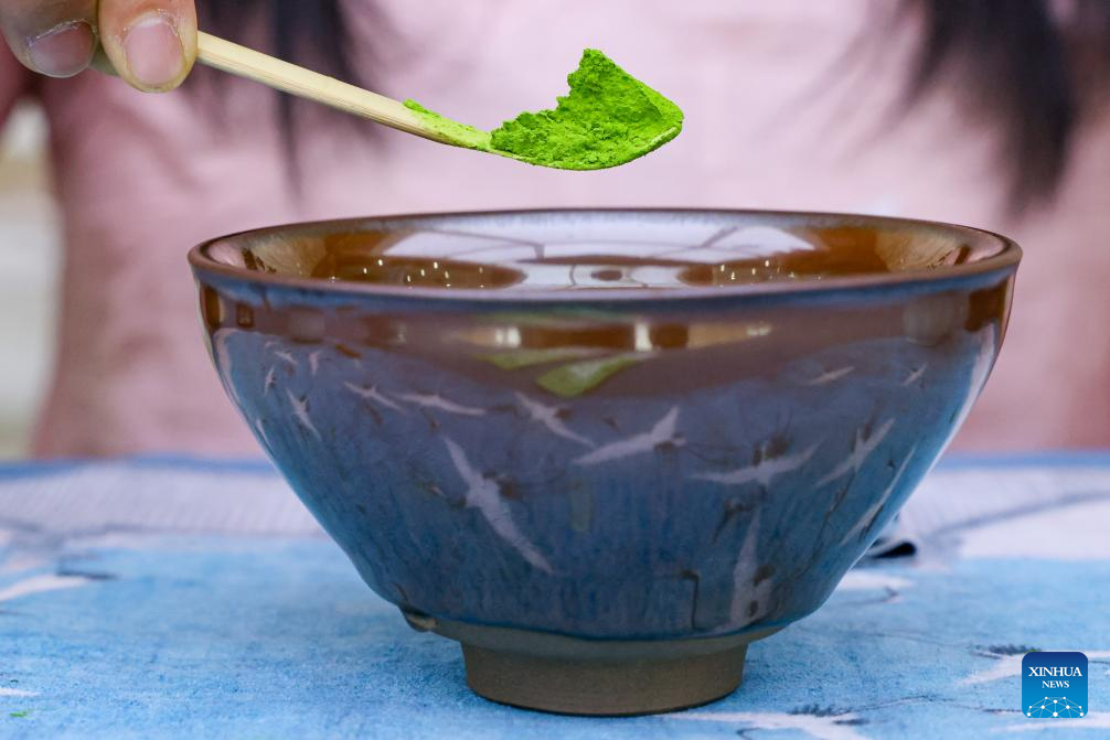 A glimpse of matcha industry in Jiangkou County, China's Guizhou