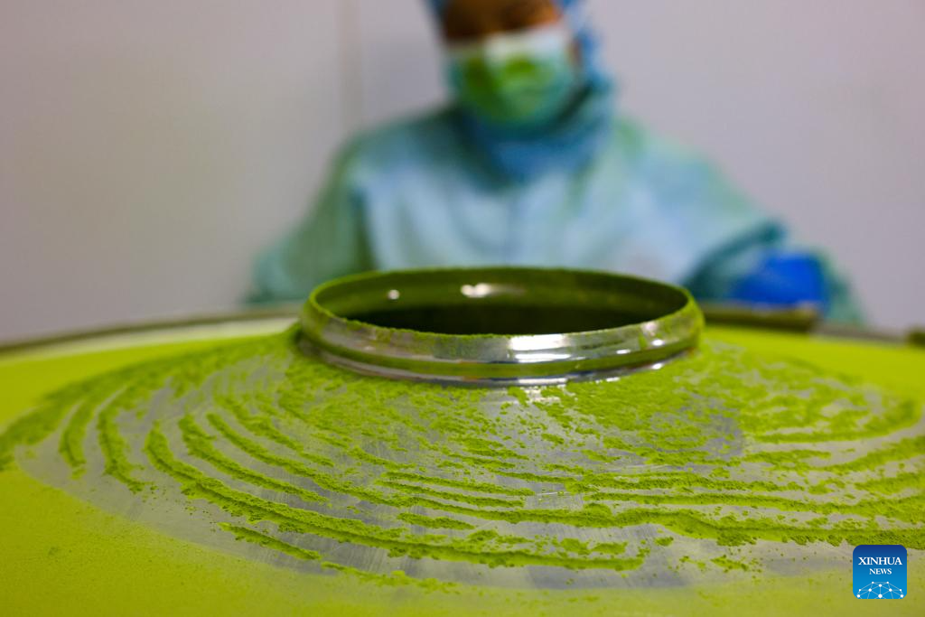A glimpse of matcha industry in Jiangkou County, China's Guizhou