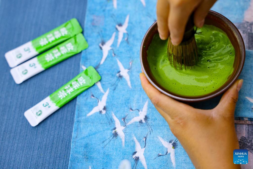 A glimpse of matcha industry in Jiangkou County, China's Guizhou