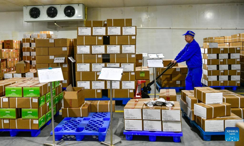 A glimpse of matcha industry in Jiangkou County, China's Guizhou