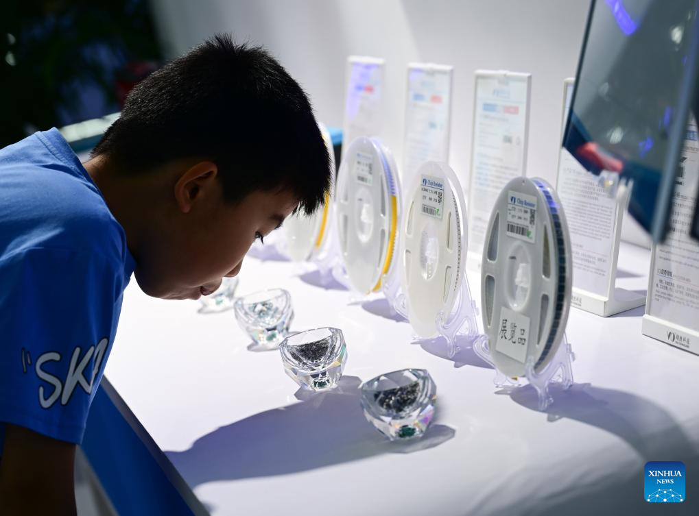 Innovation meets opportunity at E China's Anhui tech fair