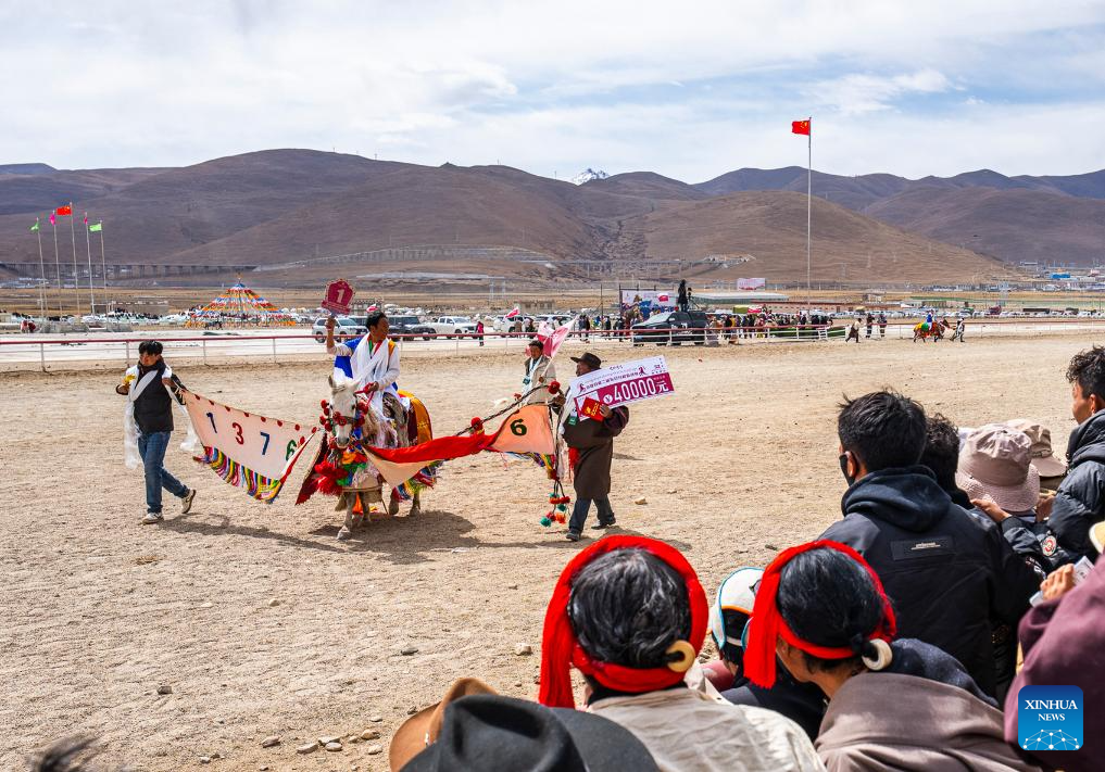 Horse races held in Damxung County, China's Xizang