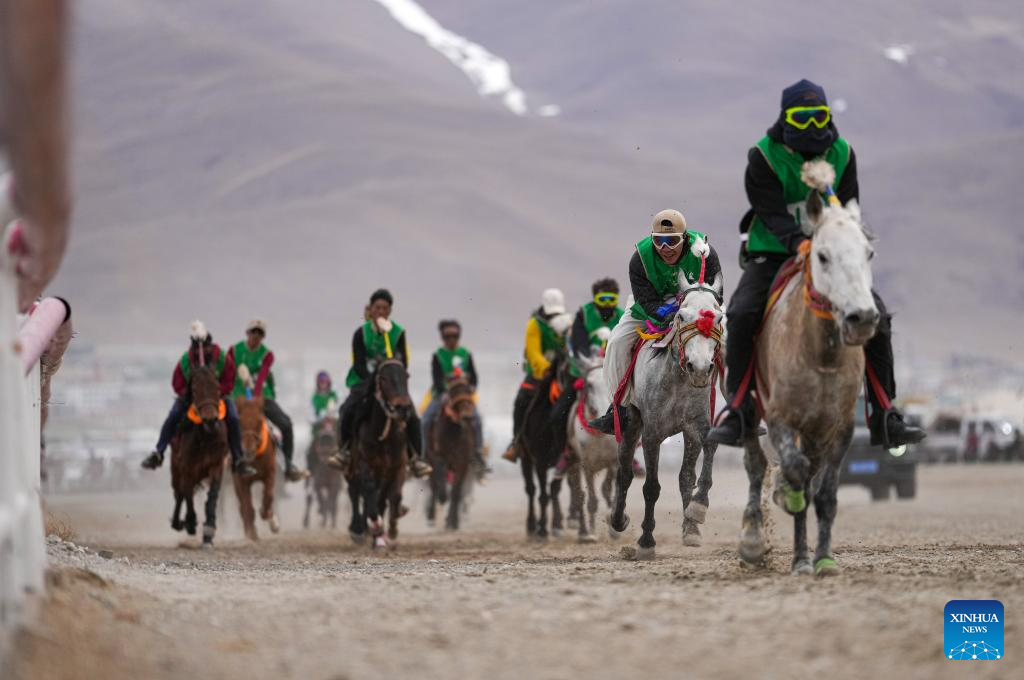 Horse races held in Damxung County, China's Xizang