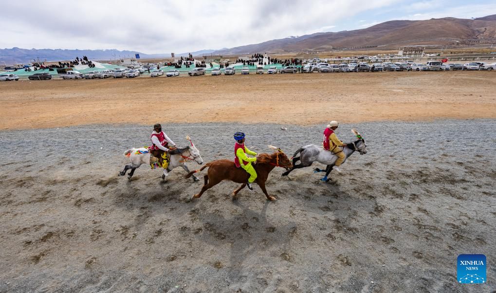Horse races held in Damxung County, China's Xizang