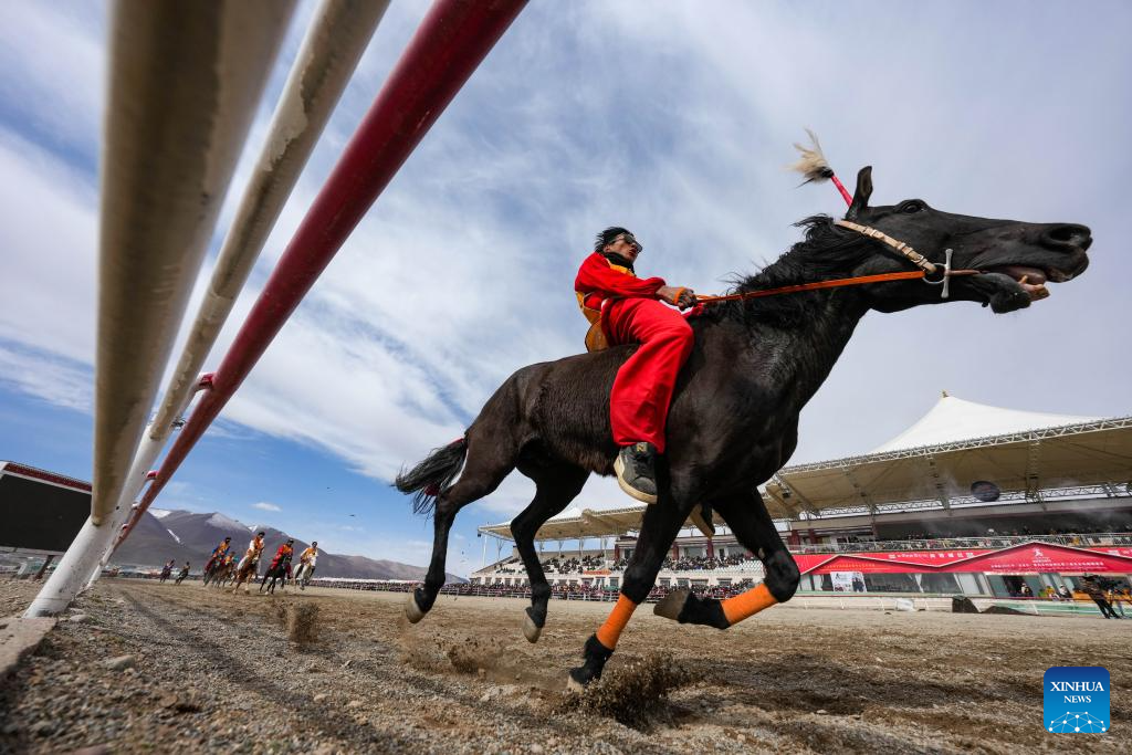 Horse races held in Damxung County, China's Xizang
