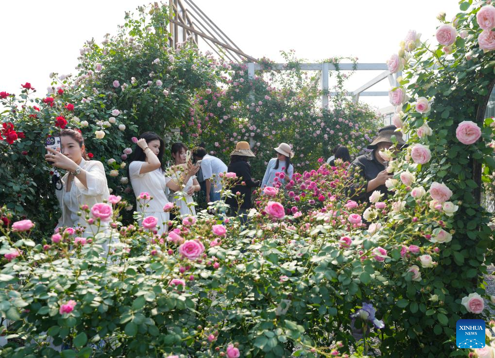 2025 World Garden Show kicks off in E China's Zhejiang