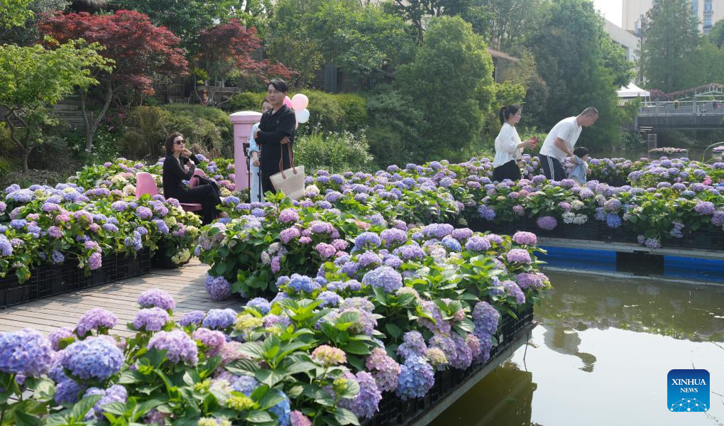2025 World Garden Show kicks off in E China's Zhejiang