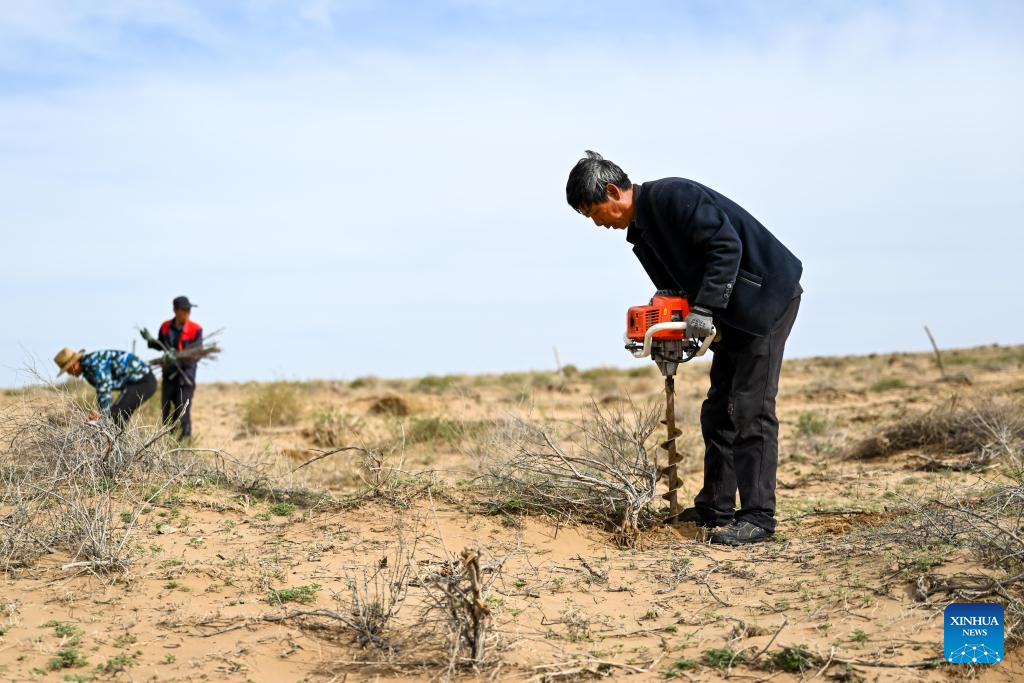 China's Hangjin Banner vows to continue desert greening efforts