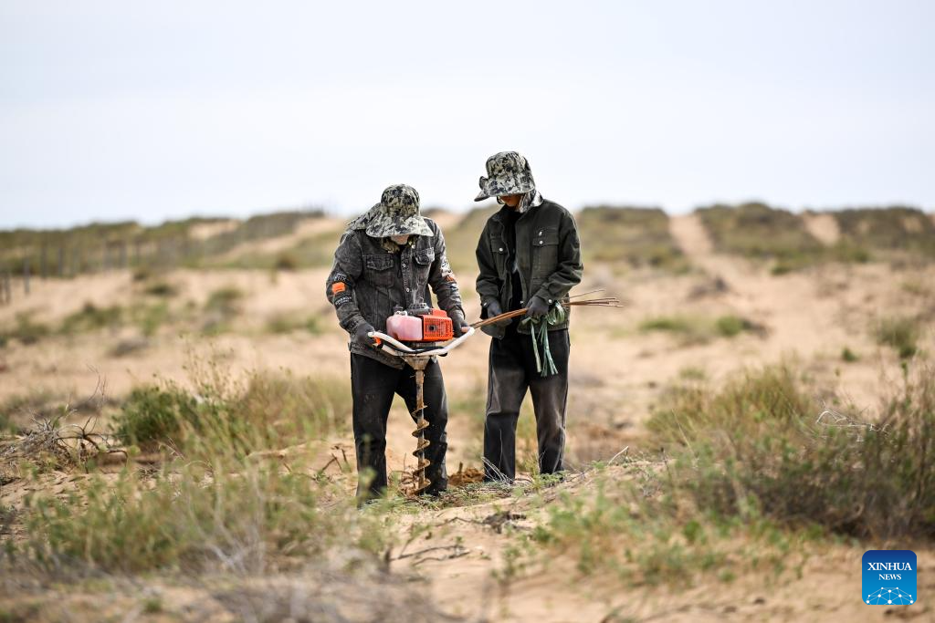 China's Hangjin Banner vows to continue desert greening efforts