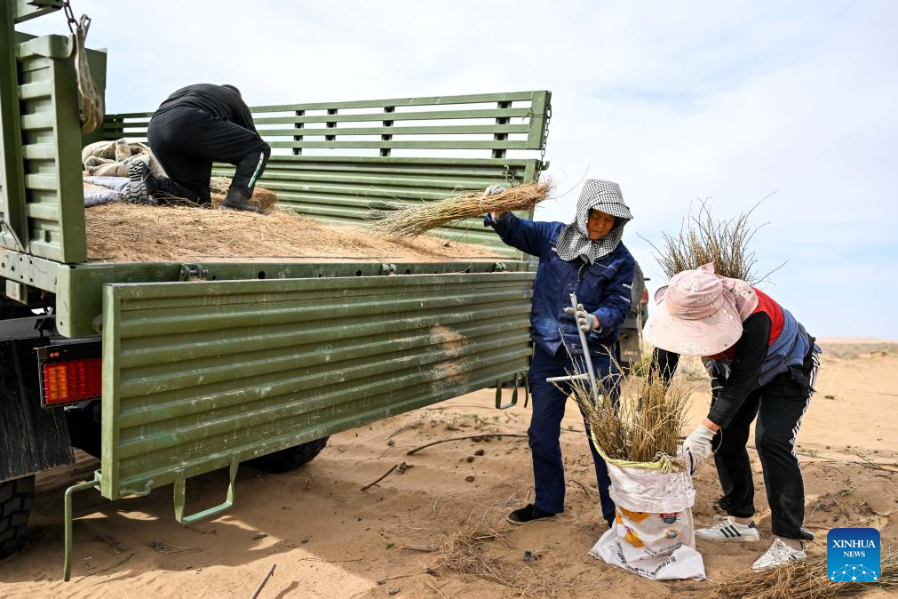 China's Hangjin Banner vows to continue desert greening efforts