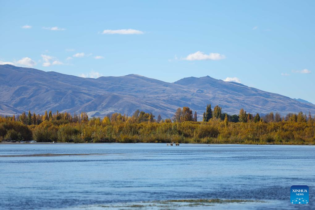 Autumn scenery in New Zealand