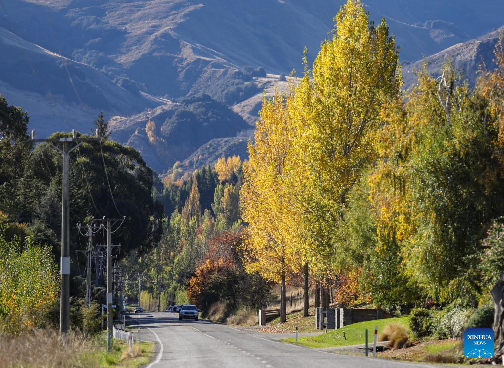 Autumn scenery in New Zealand