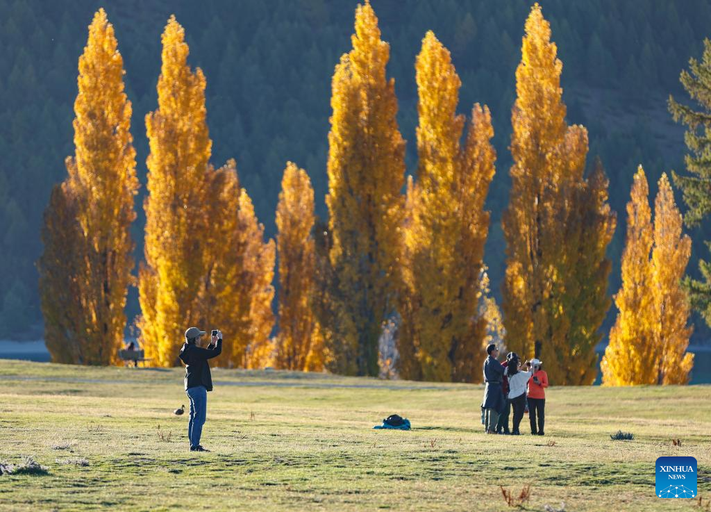 Autumn scenery in New Zealand