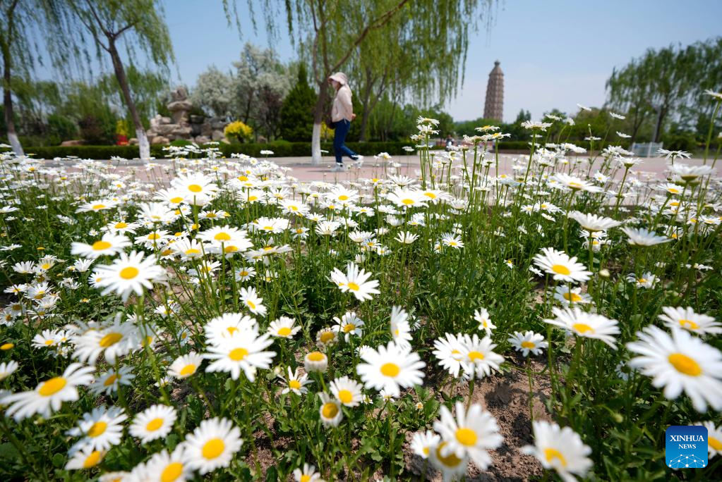 View of Haibao park in Yinchuan, NW China