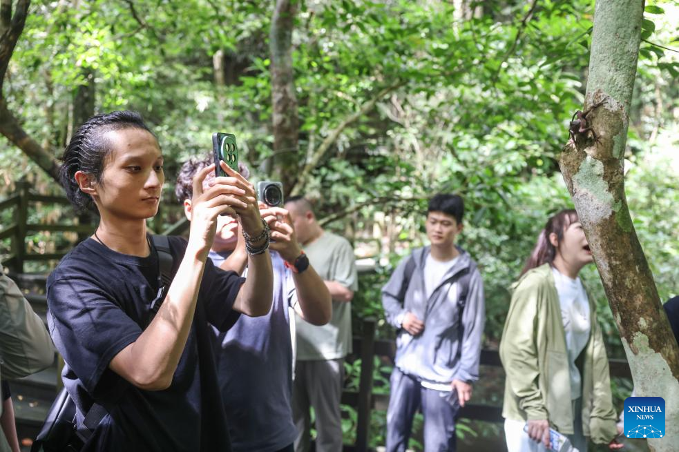 Rainforest park in China's Hainan becomes biodiversity hotspot for macro photographing