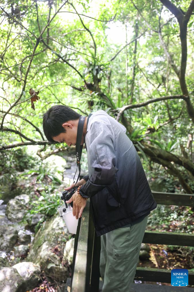 Rainforest park in China's Hainan becomes biodiversity hotspot for macro photographing