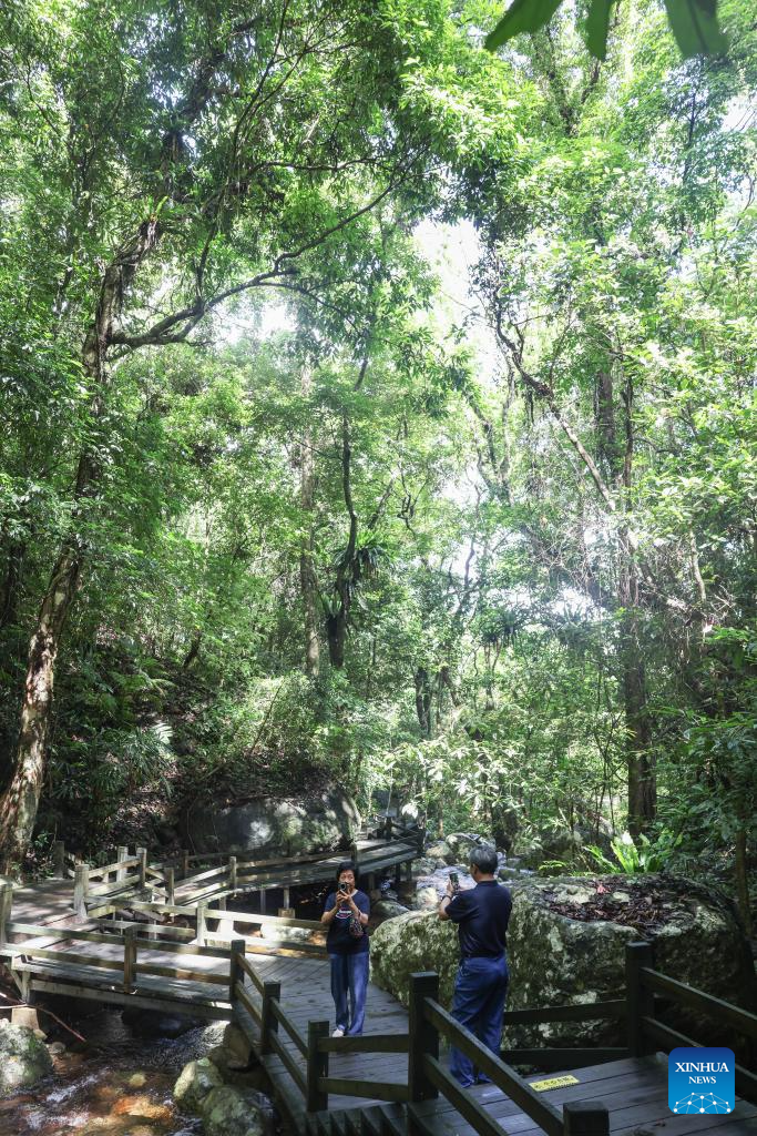Rainforest park in China's Hainan becomes biodiversity hotspot for macro photographing