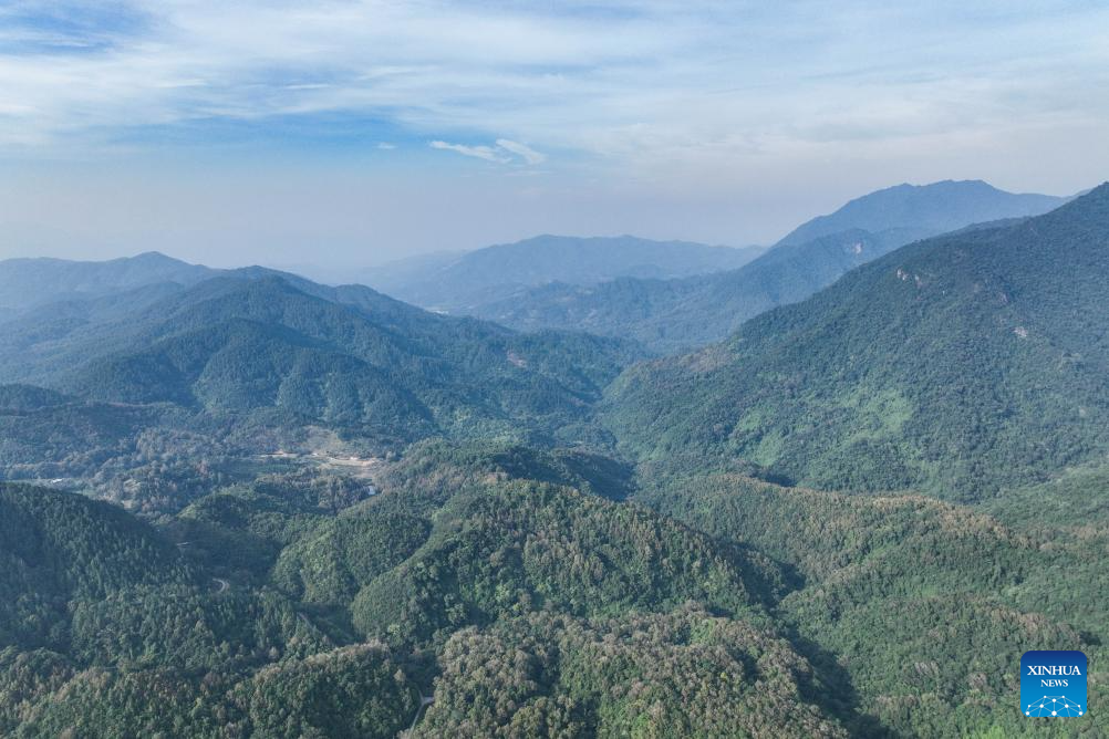 Rainforest park in China's Hainan becomes biodiversity hotspot for macro photographing