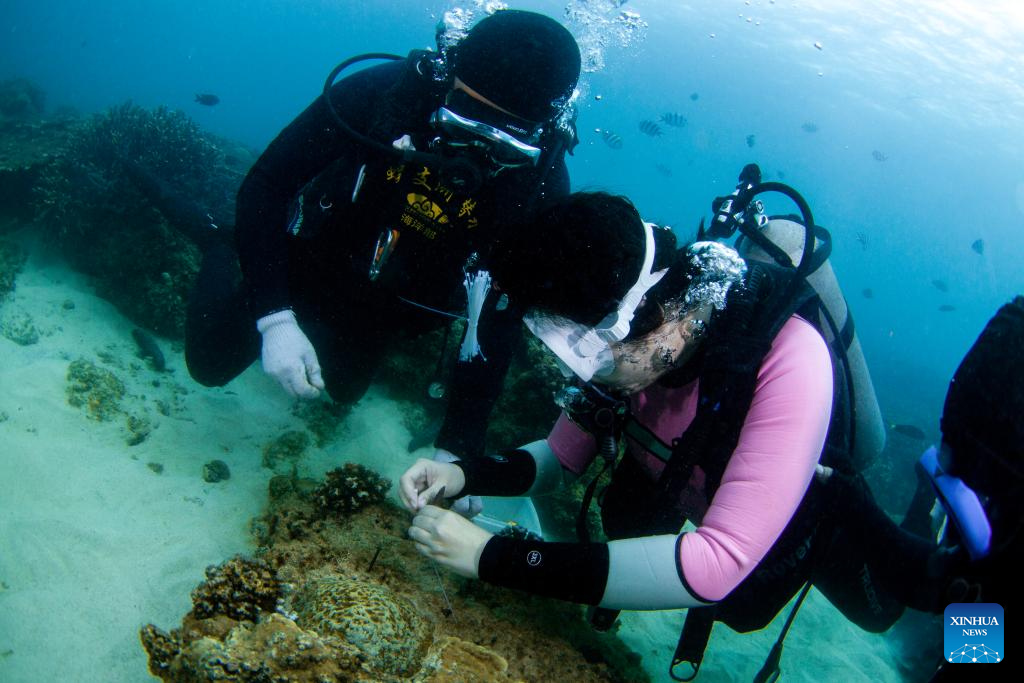 A glimpse of marine ranch in waters off Wuzhizhou Island in Sanya, China's Hainan