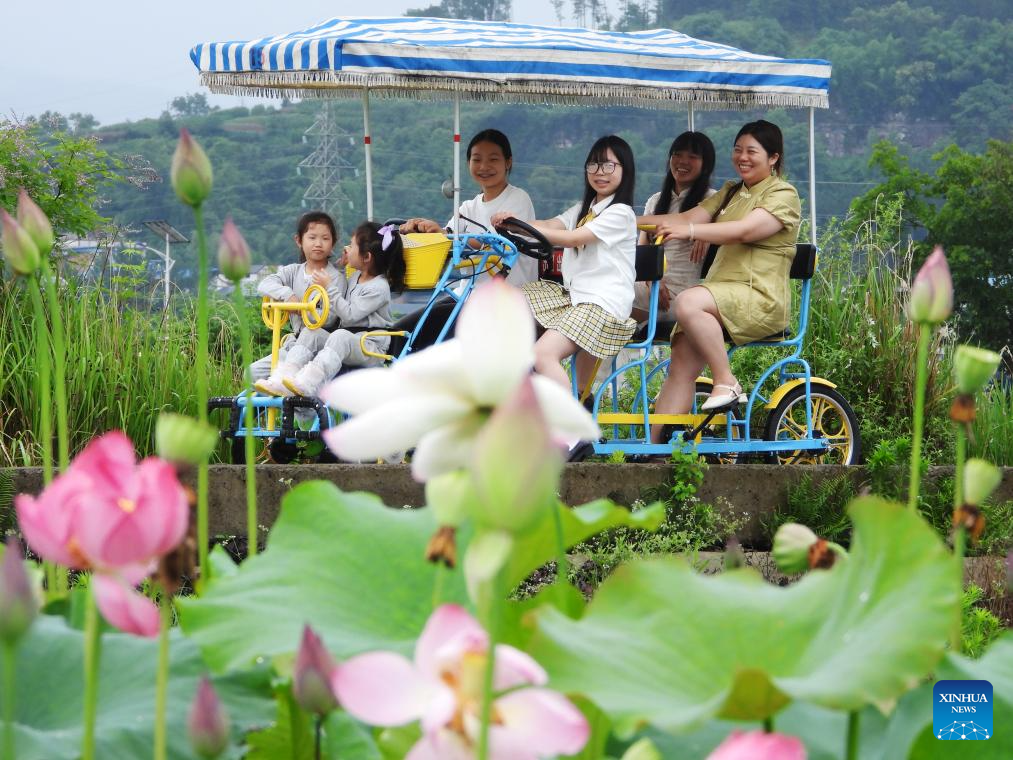 Visitors delight in summer blossoms across China