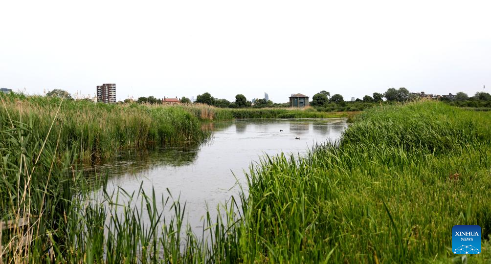 LensToLens: Wetlands guard bird species from plateau to urban landscape