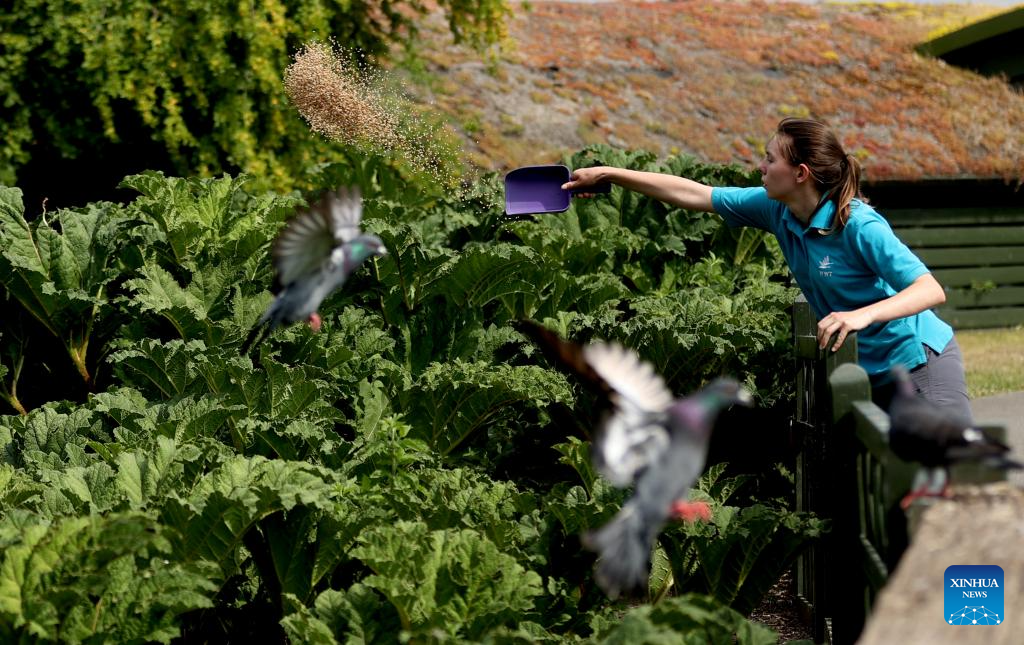 LensToLens: Wetlands guard bird species from plateau to urban landscape