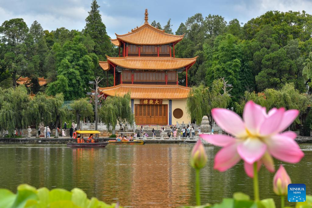 Lotus flowers bloom at Daguan Park in Kunming