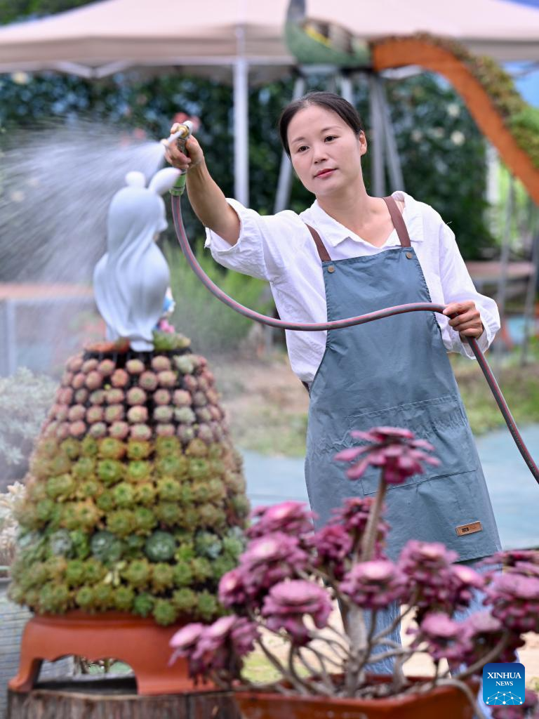Succulent enthusiast cultivates new path to prosperity in SE China's Fujian