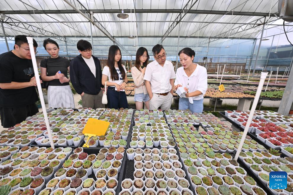 Succulent enthusiast cultivates new path to prosperity in SE China's Fujian