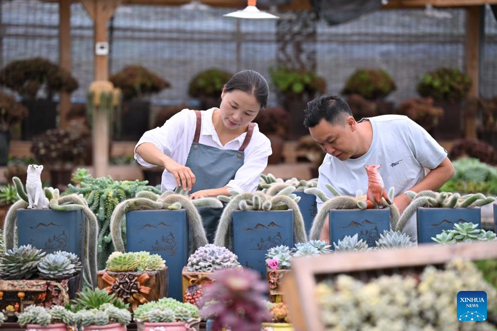 Succulent enthusiast cultivates new path to prosperity in SE China's Fujian