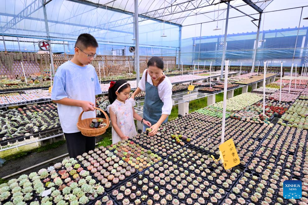 Succulent enthusiast cultivates new path to prosperity in SE China's Fujian