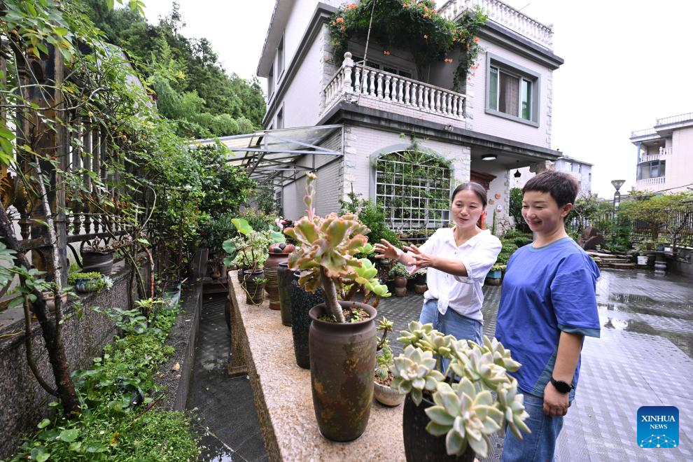 Succulent enthusiast cultivates new path to prosperity in SE China's Fujian