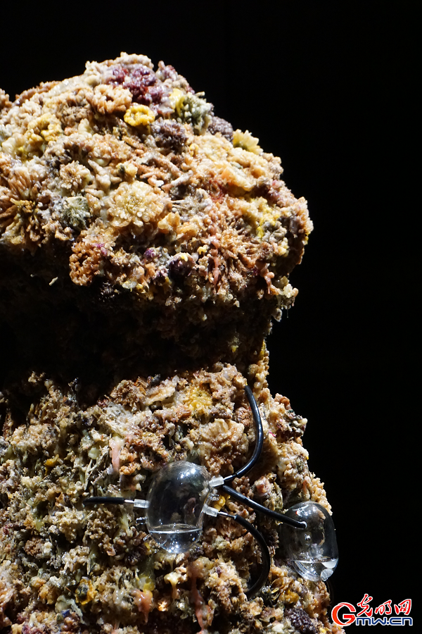 Exhibition reimagines planetary life through machines and microbes