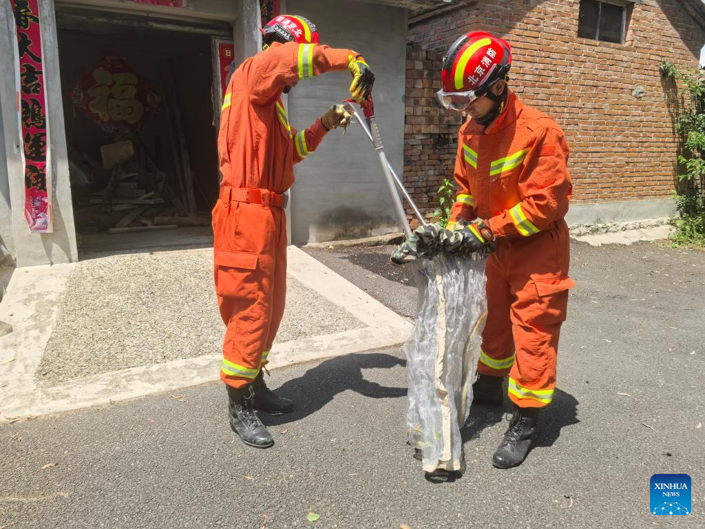 China Focus: Modern-day snake catchers reflect China's evolving human-nature ties