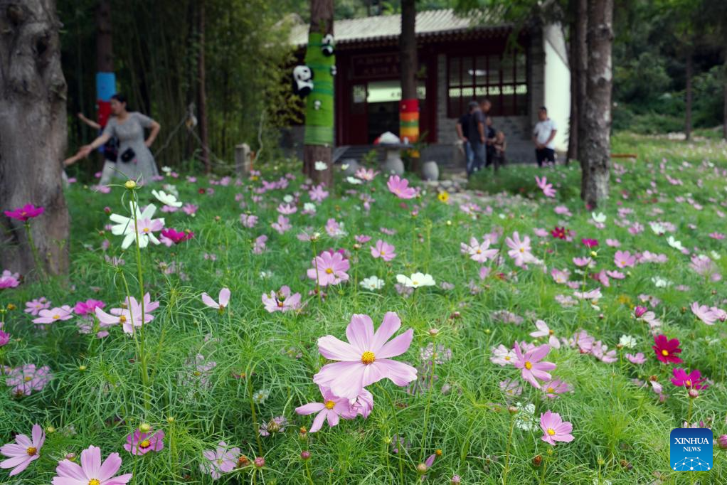 View of memorial site of ancient Chinese poet Du Fu in China's Gansu