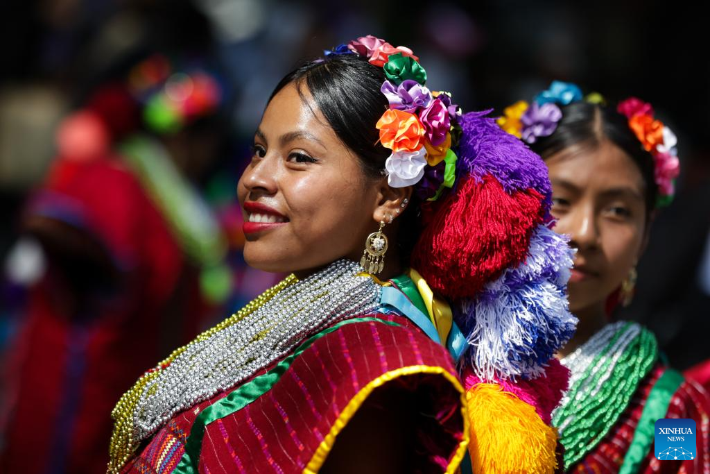 Int'l Day of World's Indigenous Peoples marked in Mexico City