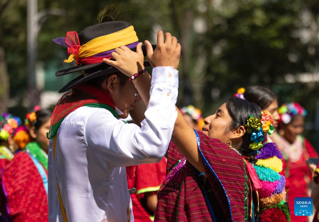 Int'l Day of World's Indigenous Peoples marked in Mexico City