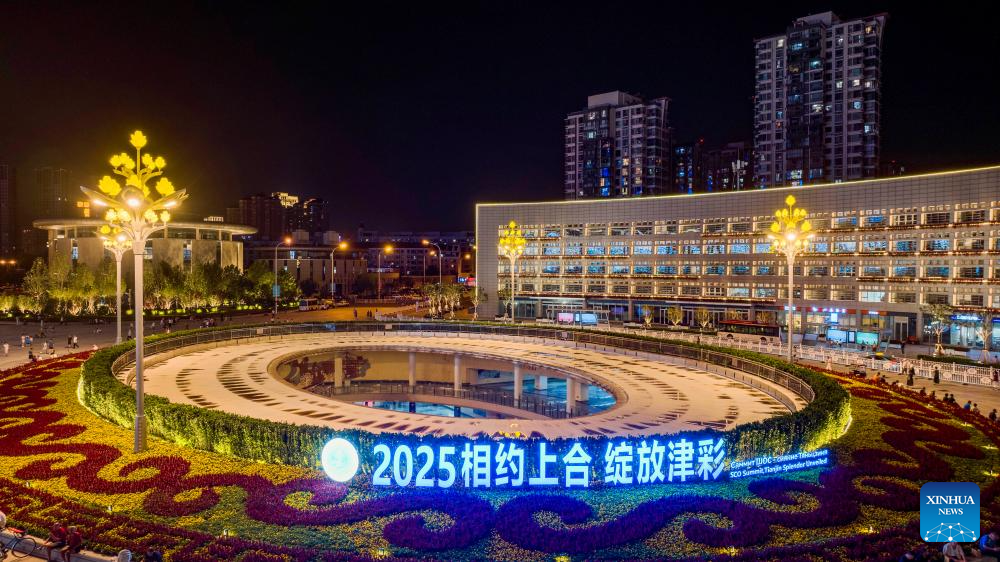 City view of China's Tianjin