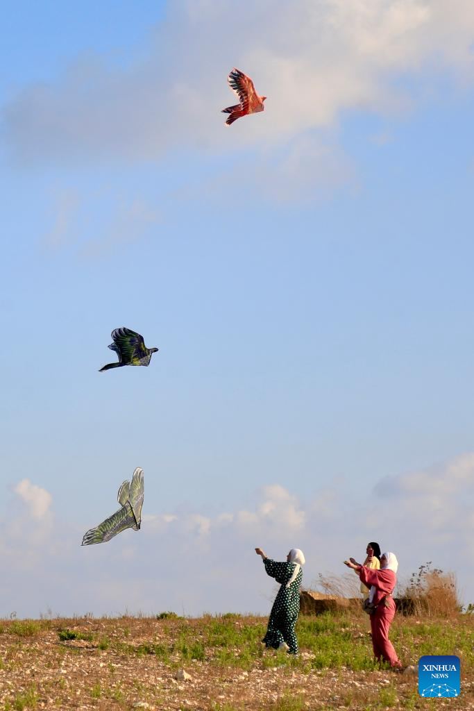 Kite festival marked in Lebanon