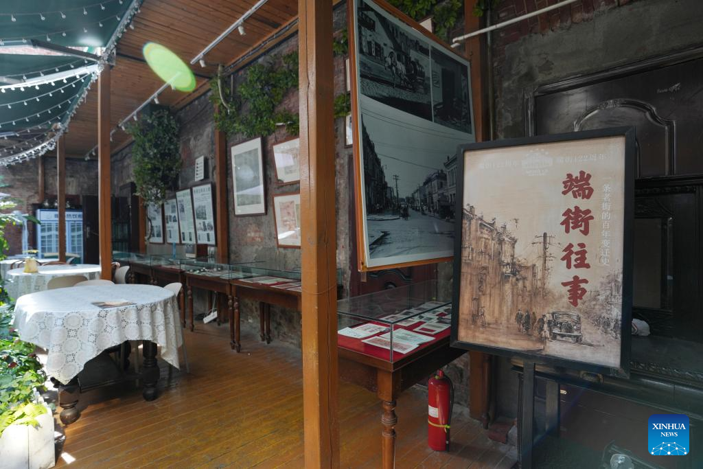 Non-profit private museums thrive in NE China's Harbin