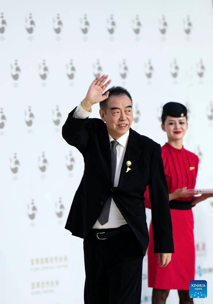 Winners of 2nd Golden Panda Awards revealed in China's Sichuan