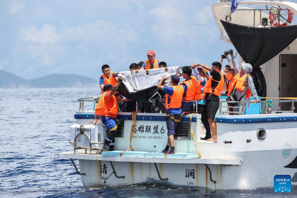 Stranded dolphin released back into sea in China's Hainan