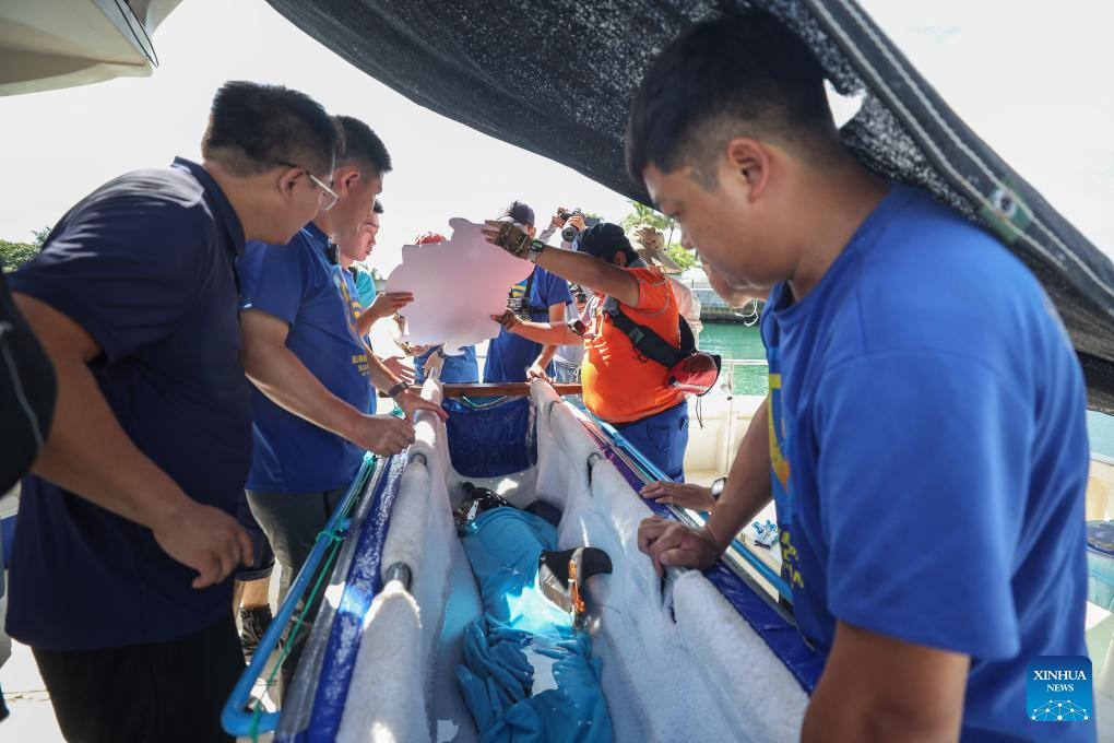 Stranded dolphin released back into sea in China's Hainan