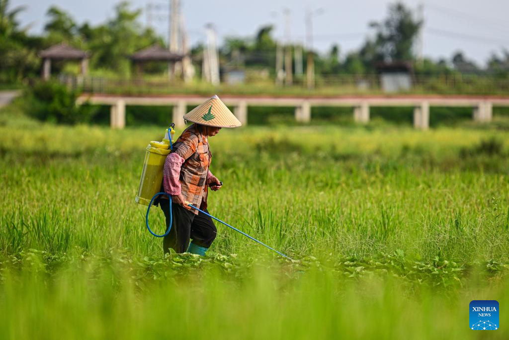 Village of S China's Hainan advances rural revitalization